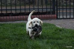 07b7a04b1e37cdafb1c2a0e140115f69_246