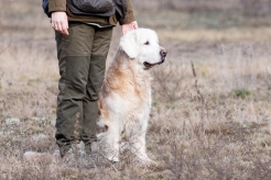 07ba7563d41d614881517a6d835da675_246