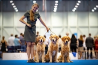 0857e9fadc980c40dcd81347c864306c_195