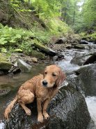 08e0319c7c36b7045476a7b2c099fb4e_138x184_fill