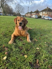 09021ac98818ac1163923dbd96665ef6_174x231