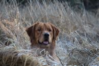 09343b980bf1baa0ade0181fda4f9037_194