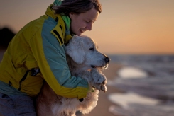 093601ca3ffb53439b86d2d05f318d64_245