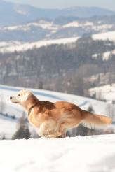 09442b169e1dbf3e6ce3ab3f8d154e11_164x246_fill