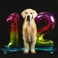 095985220585bdfc58520fa545897c0a_200x200_fill