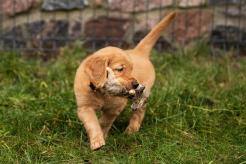 098db0fabff1472ac35dbc7e8432be98_246x164_fill