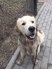 099770eda27fc44a1df5b3f3bb221a37_174x232_fill