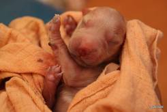 09a4a9c2cdd370c860617473c024ed76_245