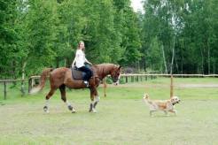 09c579f6fb6a0e0768c06a3495dce512_246x164_fill