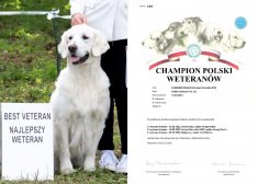 09de78999421b2d5199e3a0fd5d96e6c_235