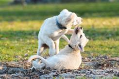 09e51c86ae6aef137ae2e821a543e7be_245