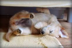 09ea3383782a099c10fcc66a82120041_246x164_fill