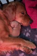 09ef41137bb8e1fa412bedec6866dced_130x195_fill