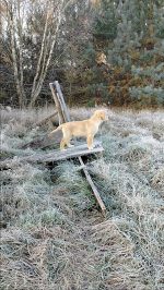 0a29365a9605adcfa4b303aa8047de4d_150x266