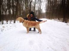 0a3d6dcd10d72b283a4f76042f1d5b7c_232