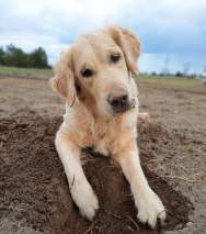 0a76704932f0d5ad28697618a83505cd_188x213