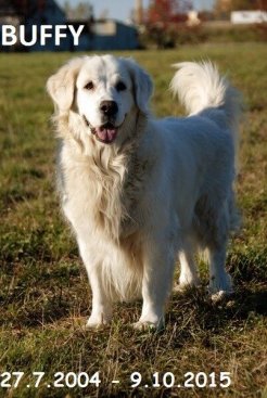 0add9d987060c76a340abbf4f8941098_246x367