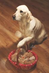 0b0ebcfdf42bd4b63142ae201fdcbca1_164x246