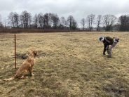 0b22d9a0cafe94bec9b556af4e749565_184x138_fill