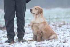 0b2d377a15a9da0c12634bfaa87ba824_245