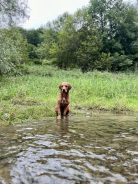 0b397bb16e5eb2a710d8da6024257ce2_138x184_fill