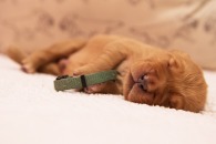 0b3b10ae8ac49df4baed852b9ffe135a_195