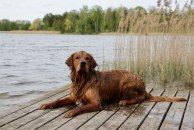 0b4a031f31a229fc2dea9b011a42e9ab_194