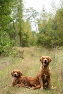 0ba8be0f25fe5ad611eb843fdfdb26ec_130x195