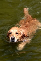 0ba960ab5e27ad3774fe70d4701aaff8_164x244