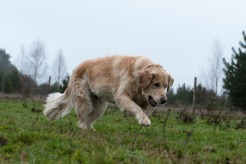 0bae67577a267d307bb035ae997df2aa_246