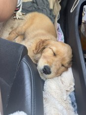 0beae3a9a46e257776d32055ad6959b8_174x232_fill