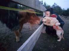 0bf0d1834db0fa93119461ce1aa403c6_231