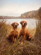 0c04a127969b84f1c937b4f99715f5a8_138x184_fill