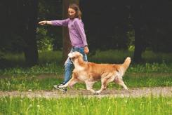 0c2057c697997fefeefd410c70154ce6_245