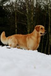 0c39ccf108fb6e18e0f9bec20c9a5ae6_164x246