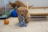 0c76aa1a1e9377f59951c0ed5adef20f_195x130_fill