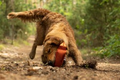 0cfa6078acb382e5adbf3f0b9a1a1809_246