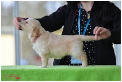 0d6f814dfa0a443b284c84b18e1aff0d_245