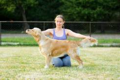 0d8c4b7d059492f3b085657a0b9e412c_245