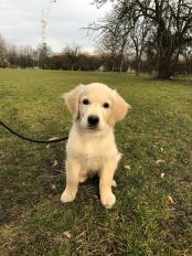 0db75be2d621191beb8d0e4fcad164f2_174x232_fill