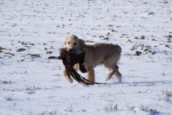 0dbead700f334aa57a843a370c46ccbe_245