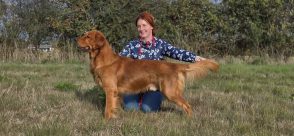 0dc349695c1c73f2f84a907a02067fc7_294