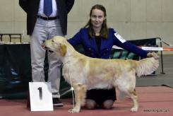 0ddf28fc571be2e97009c86438e39c10_245