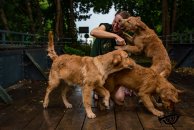 0e23d0d5a701f5355d1209a3f93c45e5_194