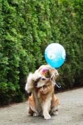 0e35aa10470824deecf1a689af2bf03f_164x246