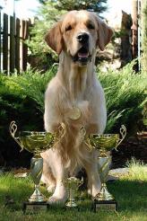 0e53b8cf097775b94678de059d81b498_164x246_fill