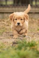 0e614088451afa0ab8f27bd79726d8a9_130x195_fill