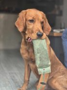 0e79c7acdcf2034f8e1b763a5602655a_138x184_fill