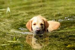 0ed5e3d60266ec0ad7055f58419d91b4_245