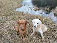 0ed8a446192791a8d0f91a0d2b3da5ed_184x138_fill